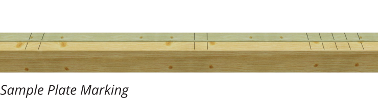 Sample Plate Marking